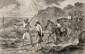 ムンゴパーク、1875